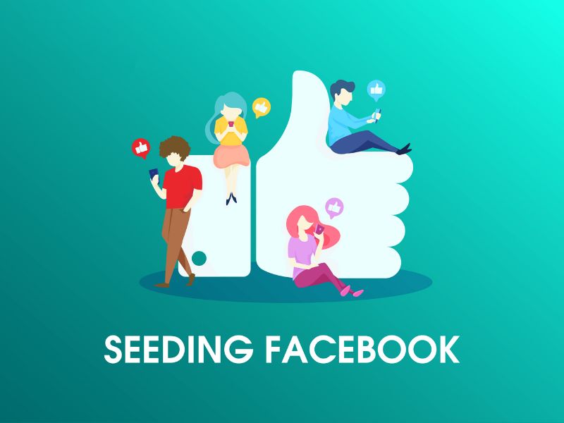 Seeding Facebook hiệu quả 
