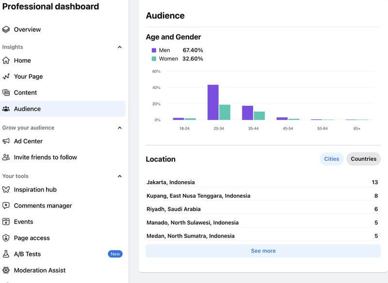 Sử dụng facebook insights audience